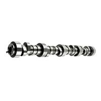 LS High Performance Camshaft